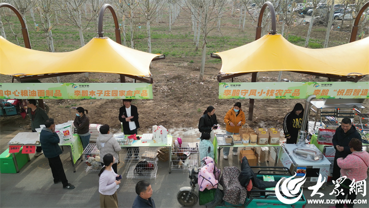 匠心傳承，共富同行 廣饒縣李鵲鎮“好品李鵲共富市集”上的麥秸畫藝術